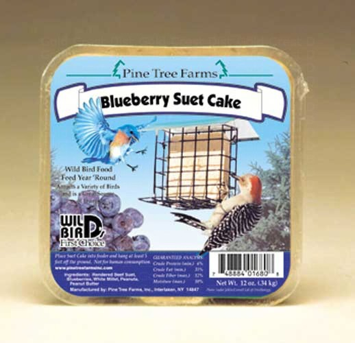 Blue Berry Suet Cake